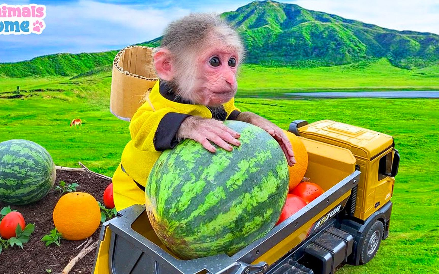 鼓王游戏机_鼓王游戏厅_鼓王 游戏