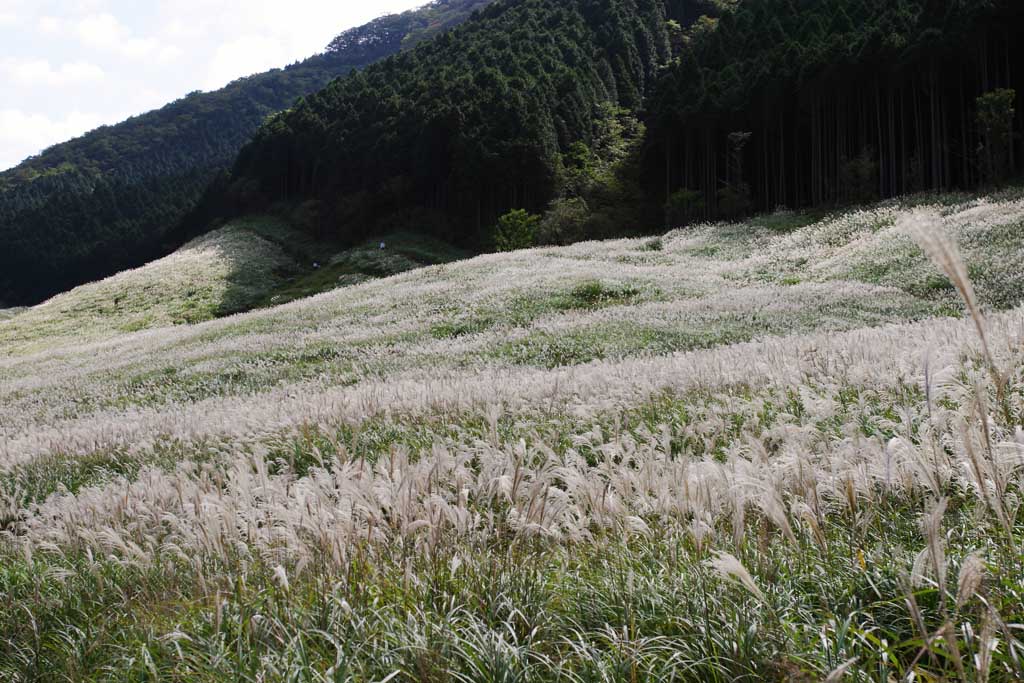 红警2修改大师器_仙五修改器_海商王2修改蒸器