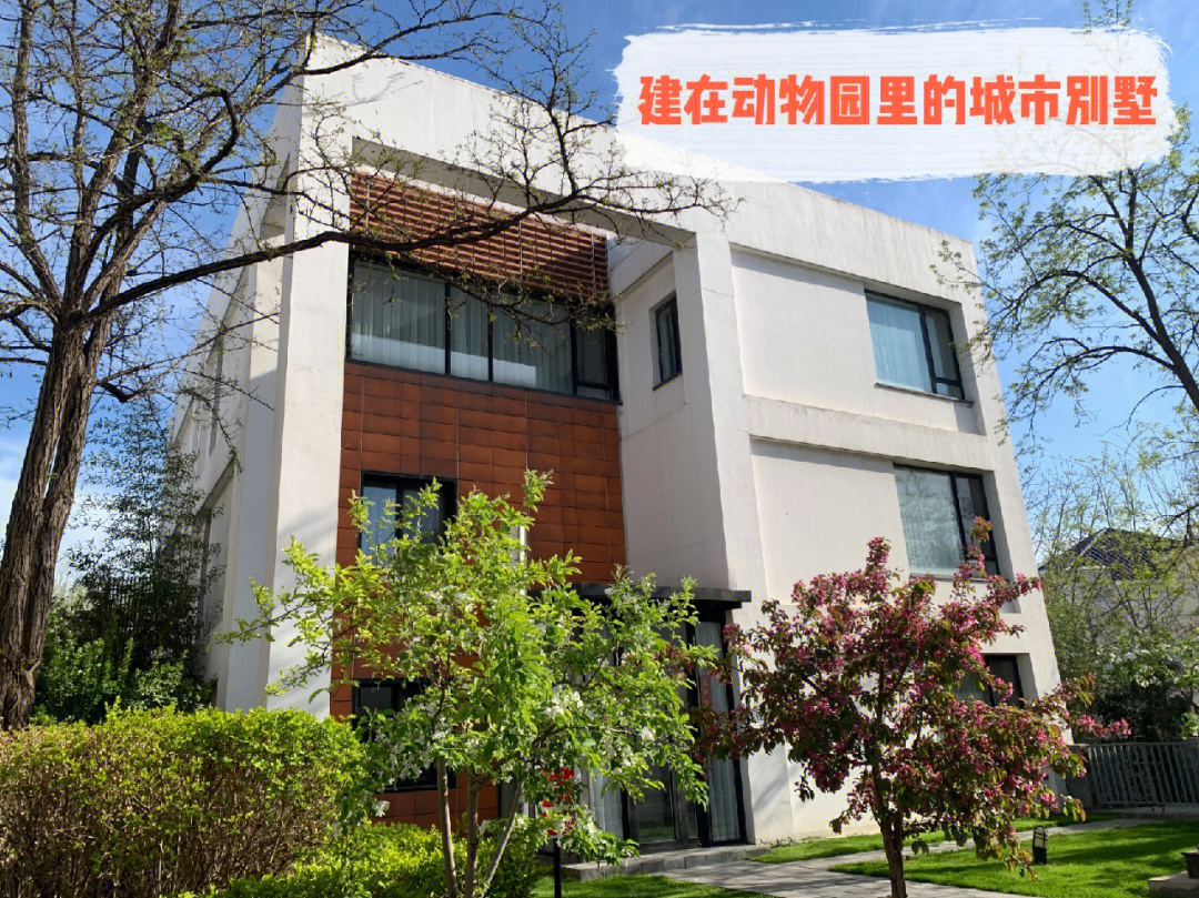 我的手机种子代码_我的世界手机版种子代码大全城市_种子世界代码怎么用