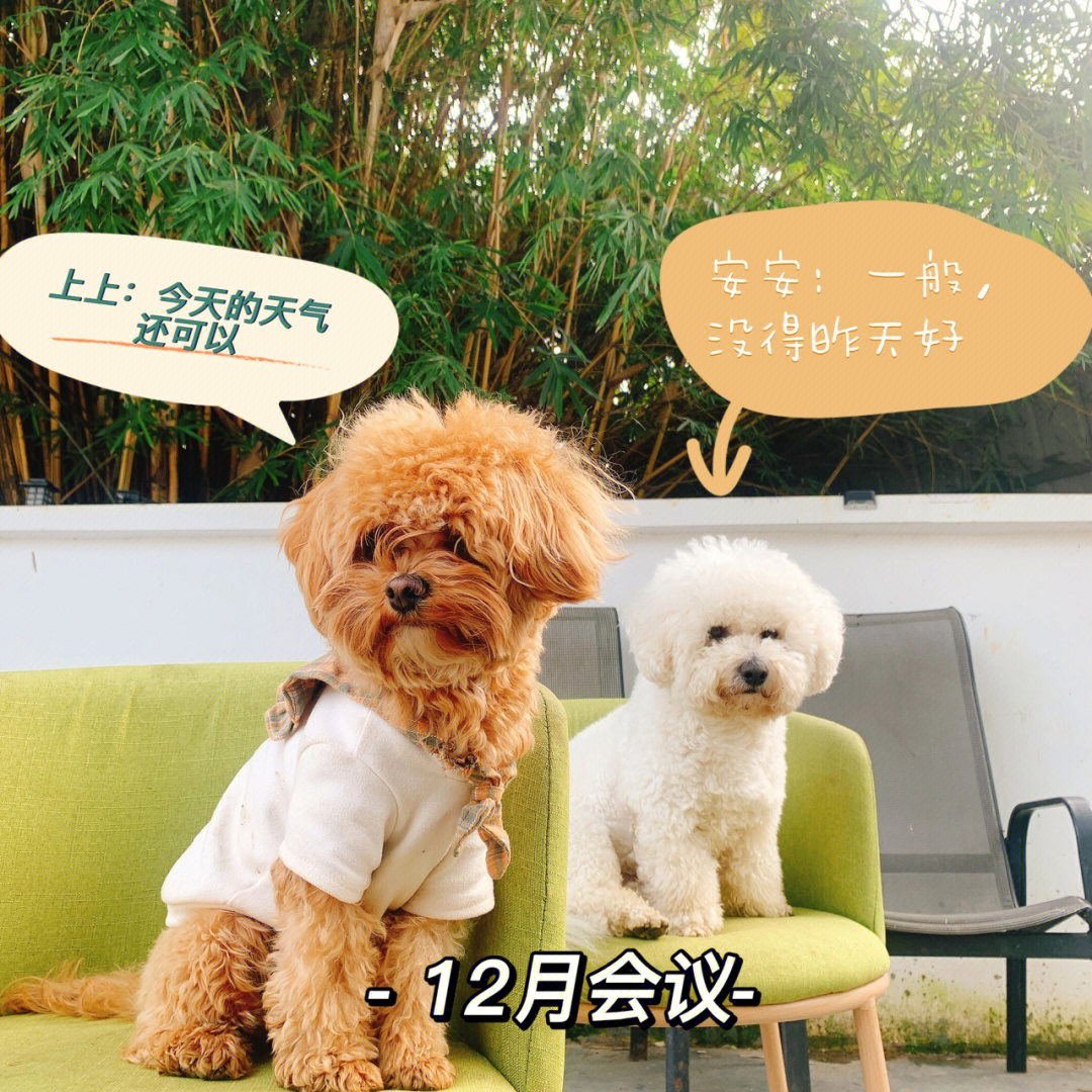 yy小安安_小安安动画片_安安小安安-an