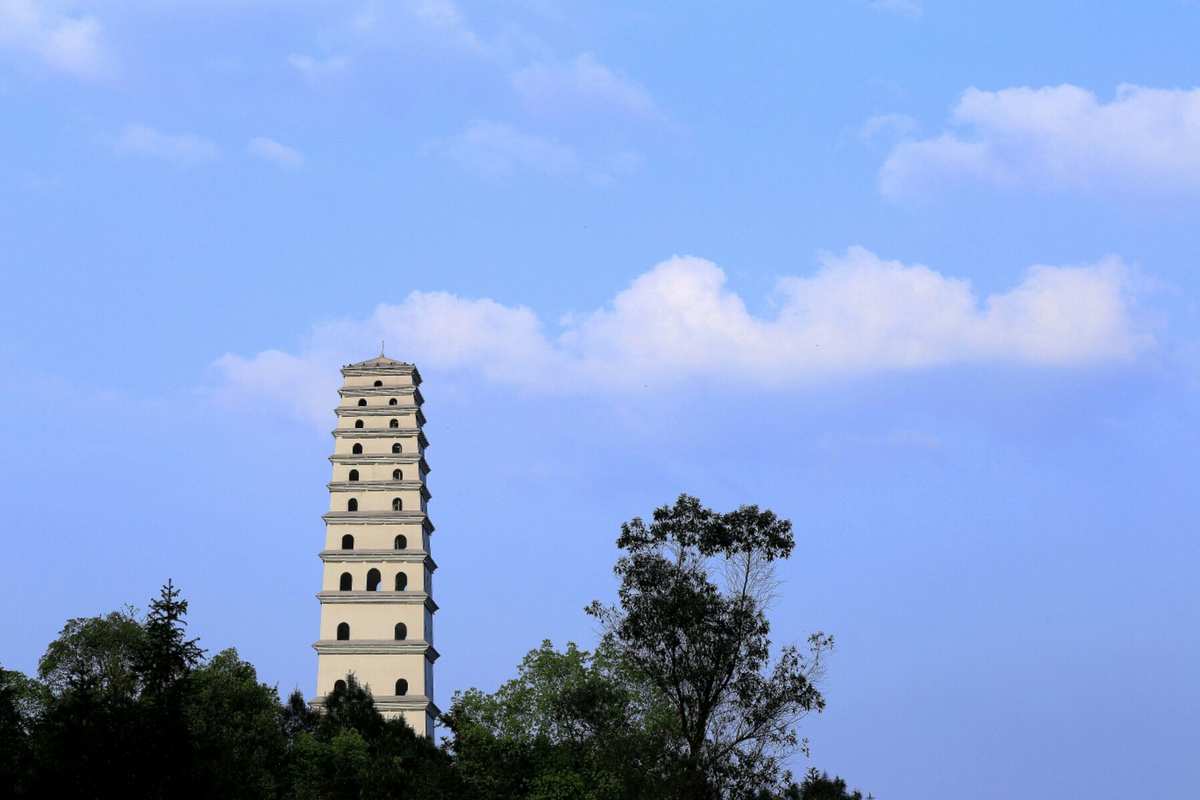 幸运龙是真实的吗_幸运龙多少钱一只_幸运52龙蕾