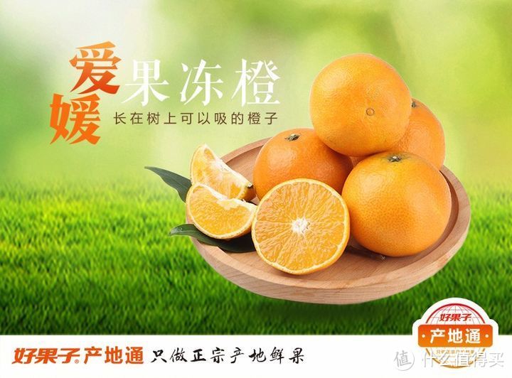 冰橙游戏官网_冰橙游戏_传奇 冰橙子