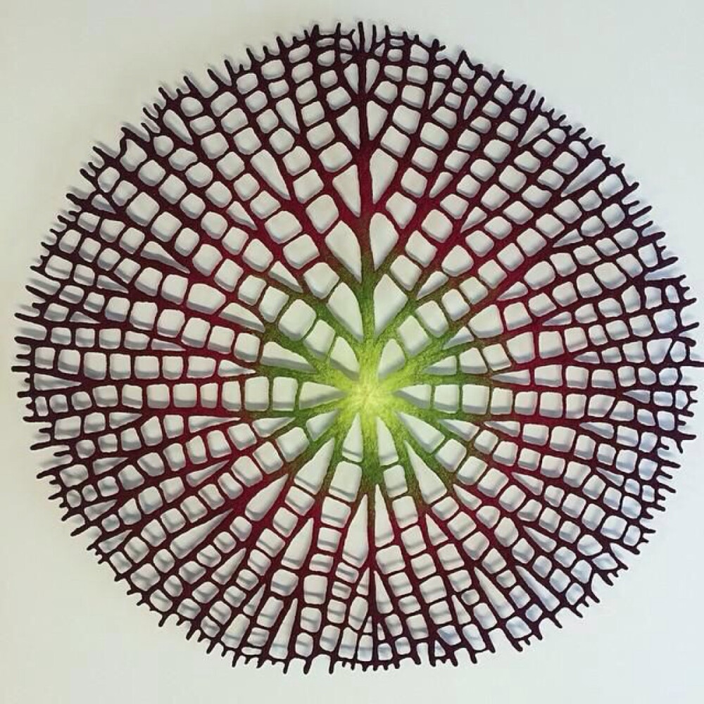 蒙纳俏黑体繁体_蒙纳字体_蒙纳多