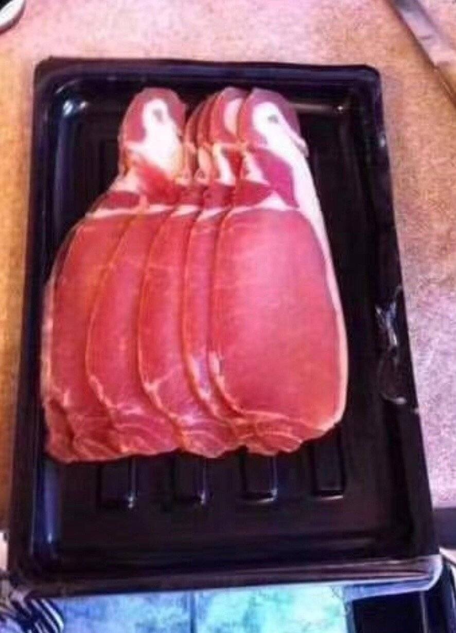企鹅肉是什么梗_企鹅肉的功效与作用_企鹅肉是什么