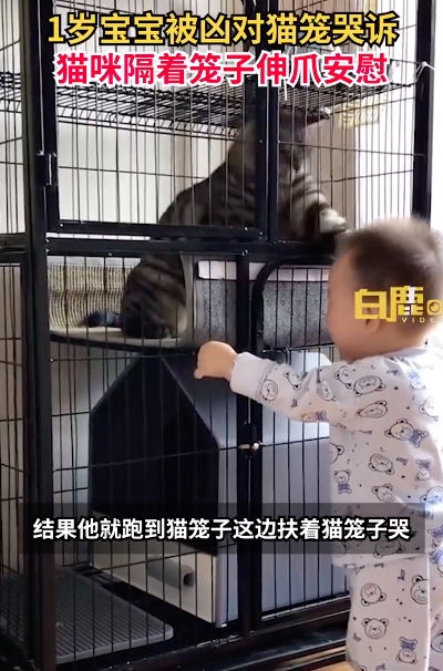 巴布工程师汽车_巴布工程车3_巴布工程车视频动画