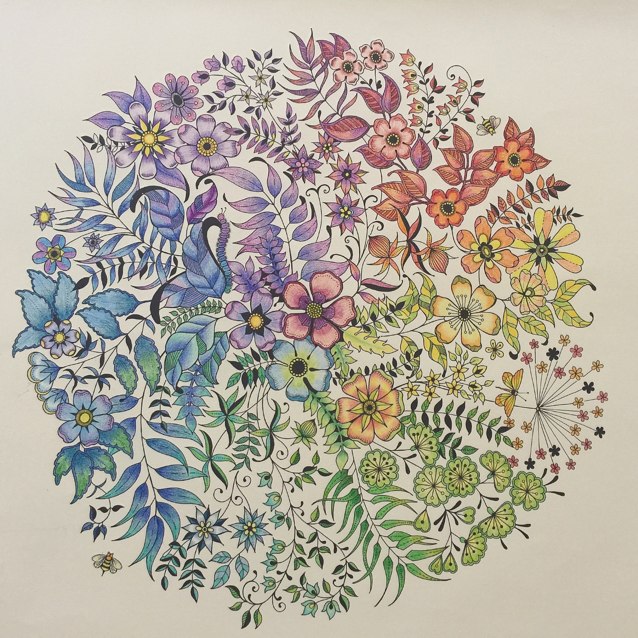 图骗_骗骗花分布图_筹码分布日图还是周图