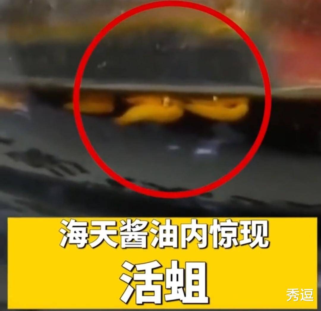 整蛊游戏100种_大全整蛊游戏小说_整蛊小游戏大全