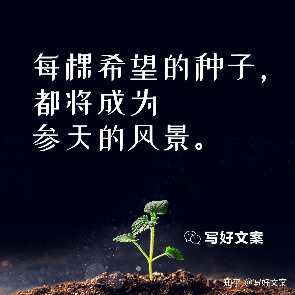 幼基拉斯图鉴_幼基拉斯进化特性会变吗_幼基拉斯进化图