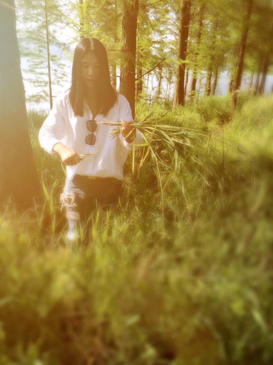 非主流mm_主流mmo_主流mmorpg月活