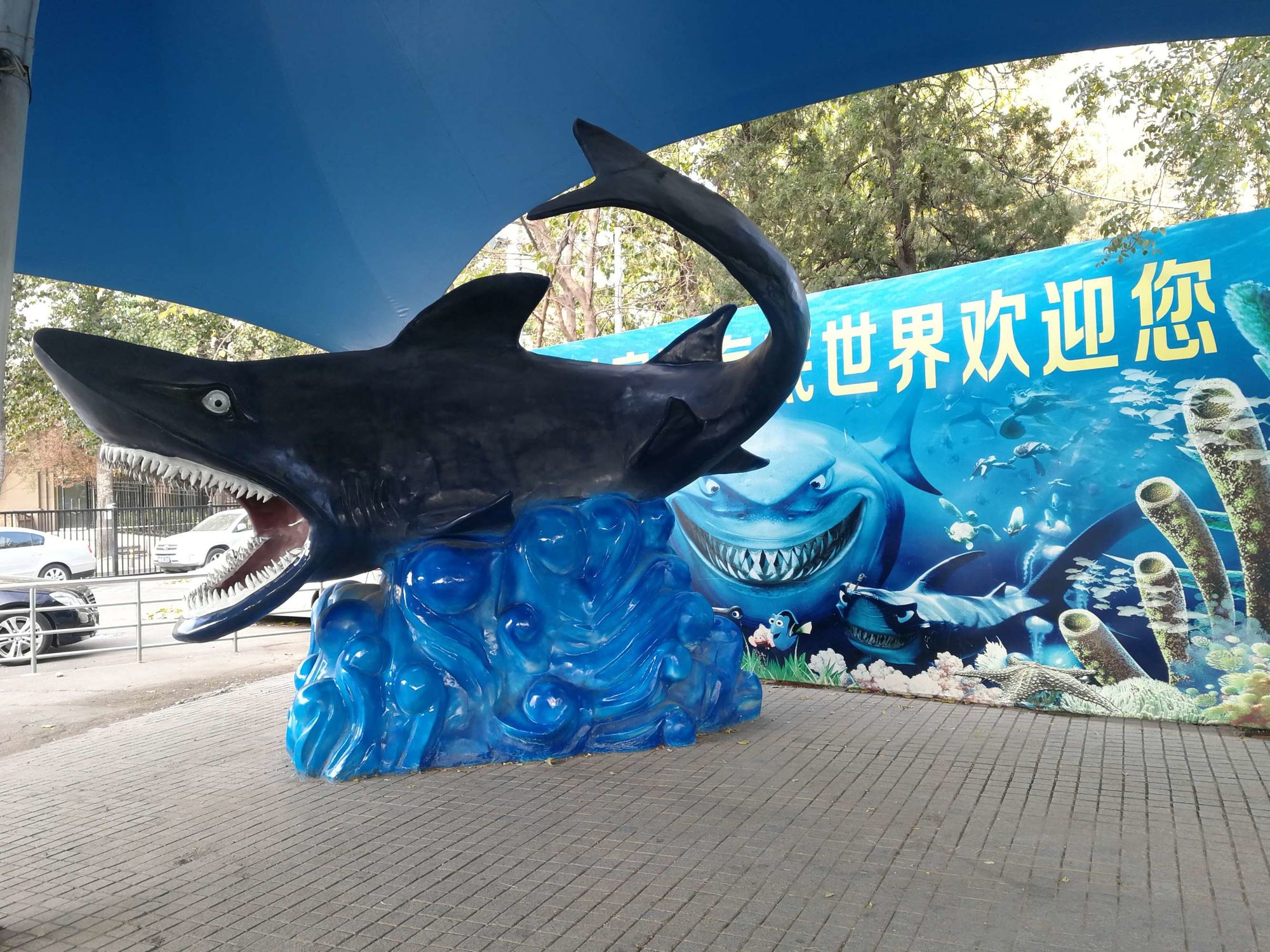 单机大金鲨_大金鲨游戏app破解版_大金鲨游戏下载