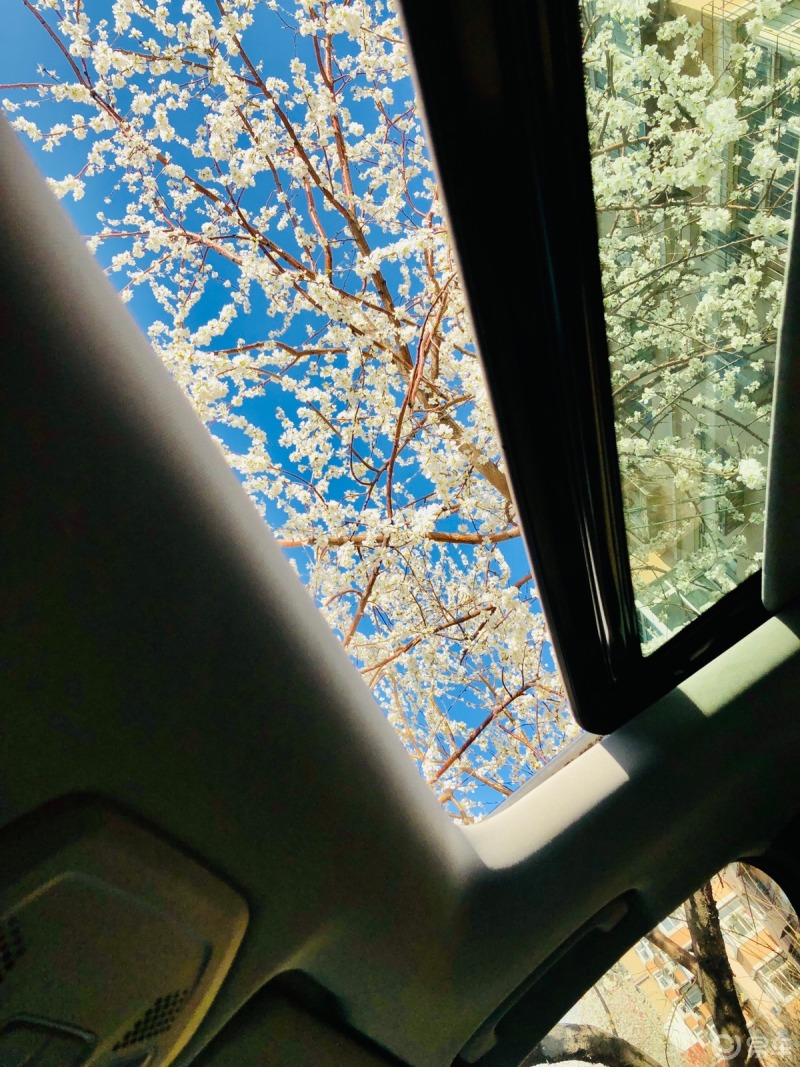 恐怖末班车游戏视频_恐怖末班车_恐怖的末班车故事