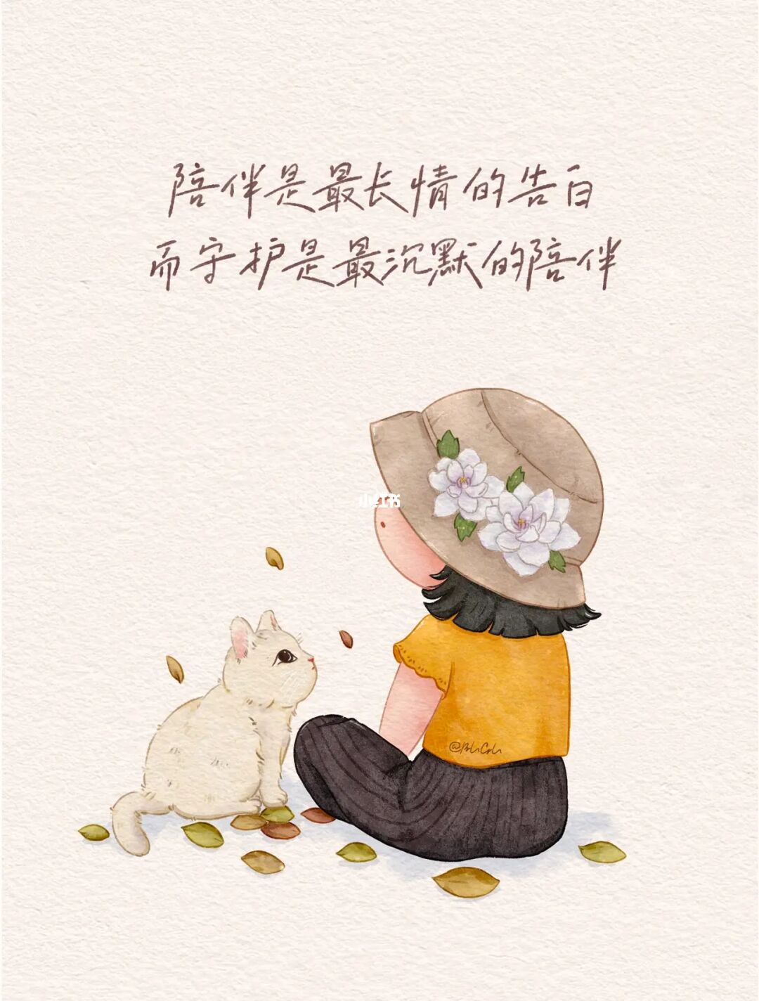 道侣和夫妻的区别_道侣_道侣不行重生