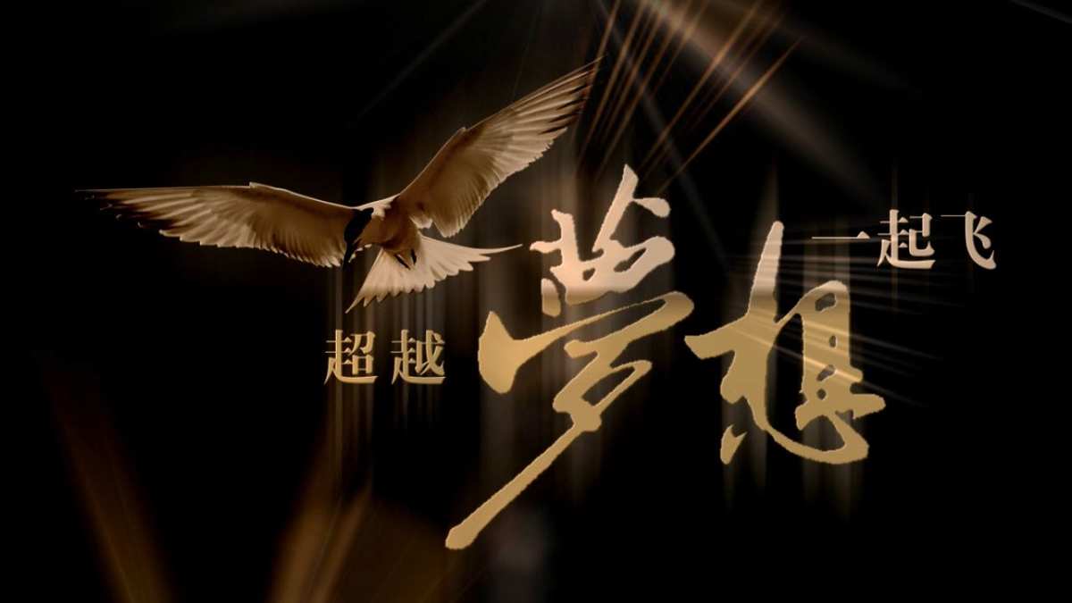 个人简介_十六个人_个人总结