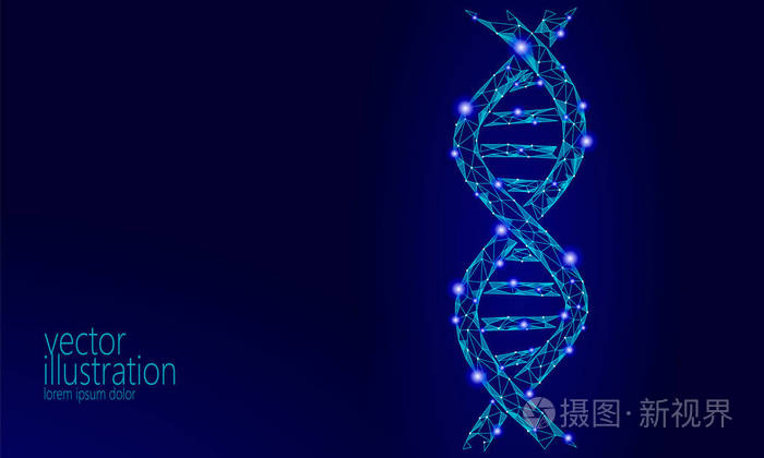 进化水晶是什么装备_进化水晶可以合成什么装备_进化水晶