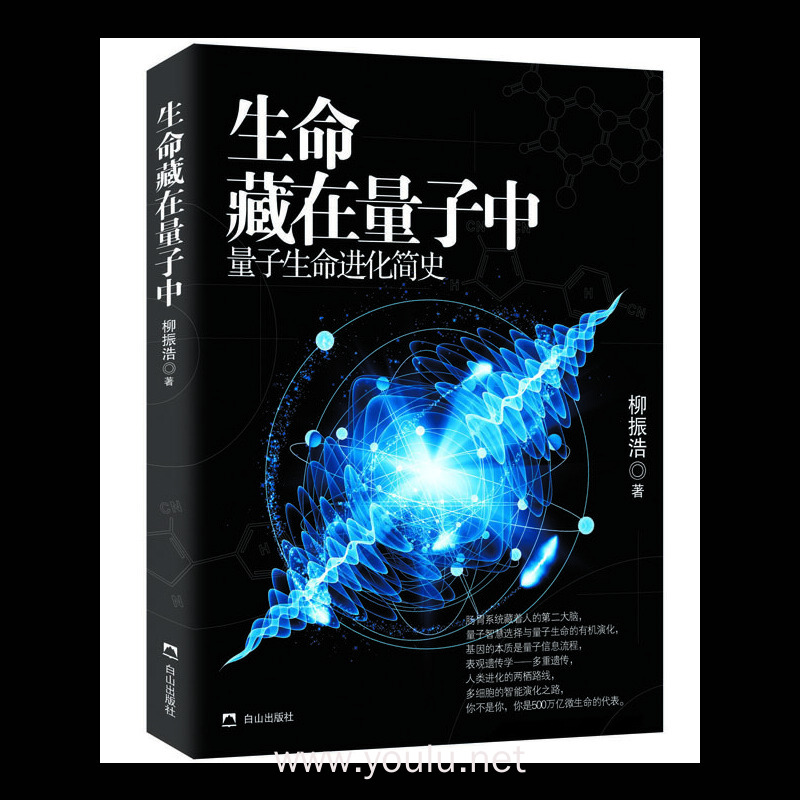 进化水晶是什么装备_进化水晶可以合成什么装备_进化水晶