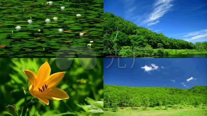 清清草视频在线_清清草视频在线_清清草视频在线