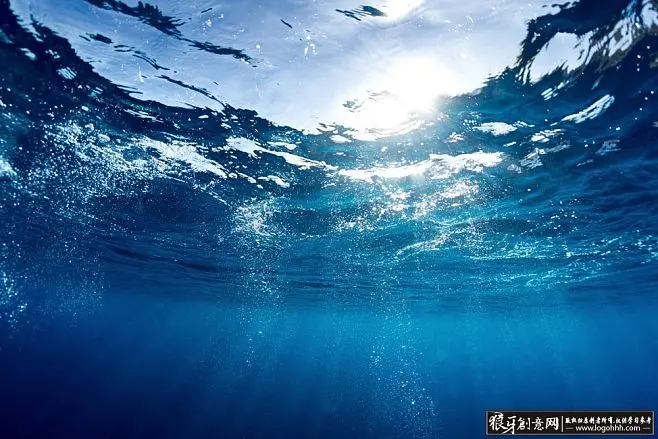 squidgame手机游戏_水的手机游戏_水下游戏手机