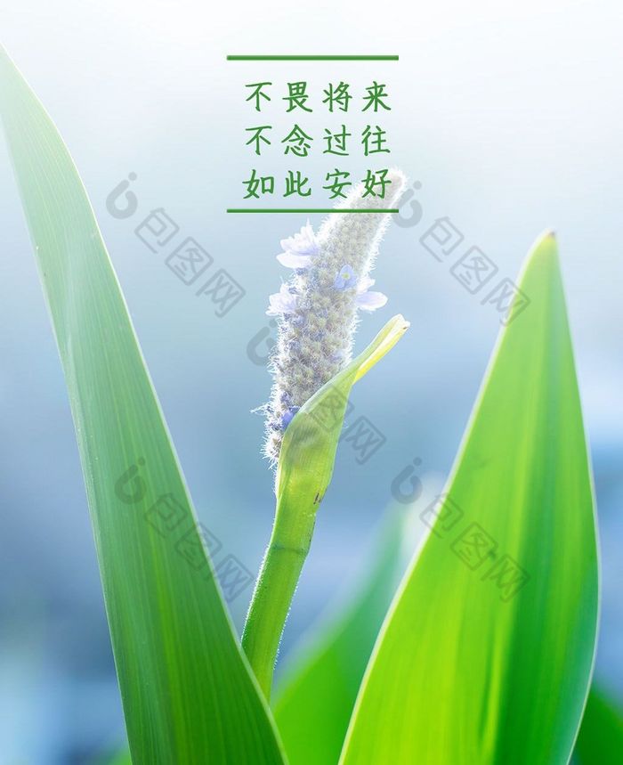 三月七日什么星座_三月七日沙湖道中遇雨原文_三月七日