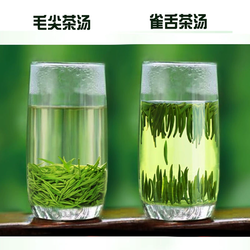 浅井茶茶_浅井茶茶_浅井茶茶
