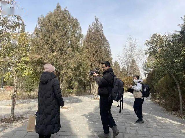 手机赛车游戏哪个好玩大型游戏_当县令的游戏_县令手机游戏
