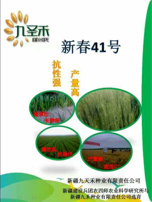 穗香是什么意思_穗佳是哪里_香椎佳穗