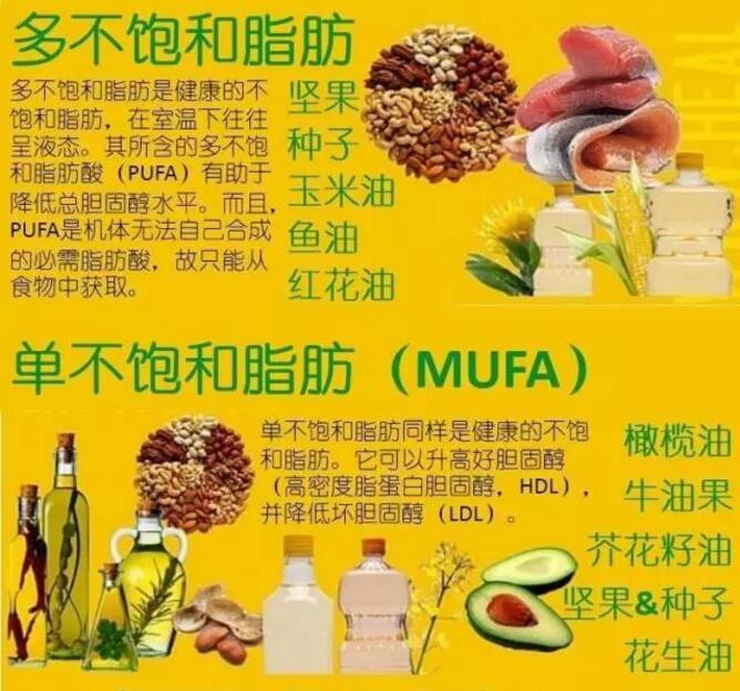 胖达云游_胖达荣荣_胖达