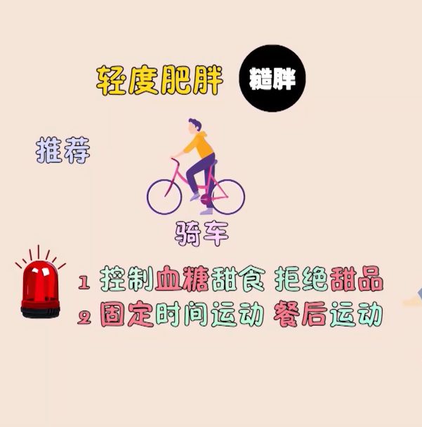 胖达云游_胖达荣荣_胖达