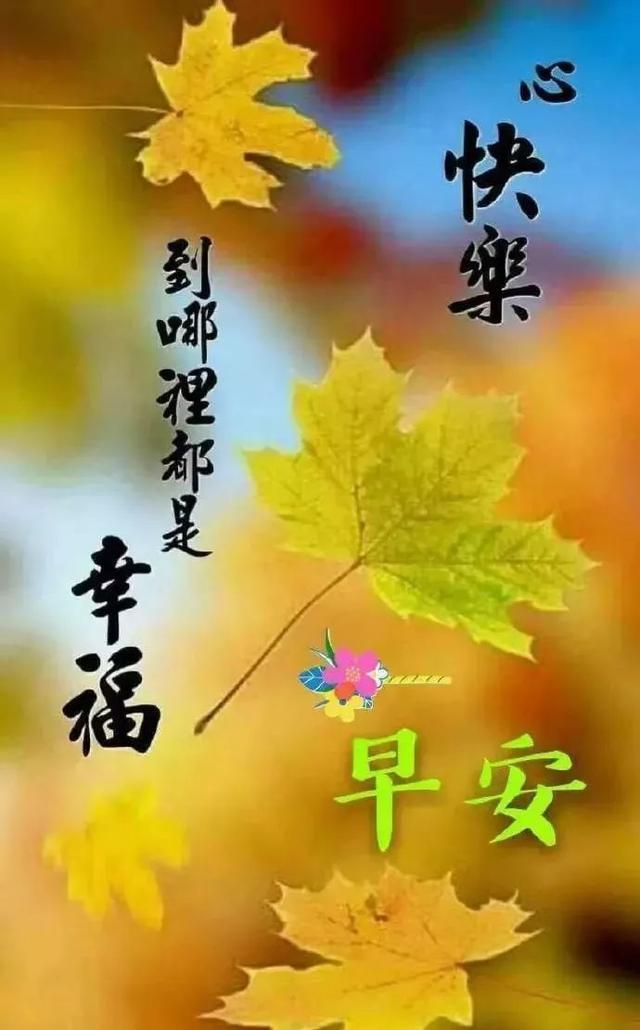 问候手机游戏大全_问候游戏_游戏问候语