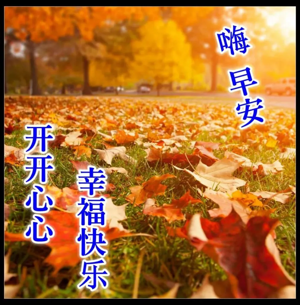 游戏问候语_问候手机游戏大全_问候游戏