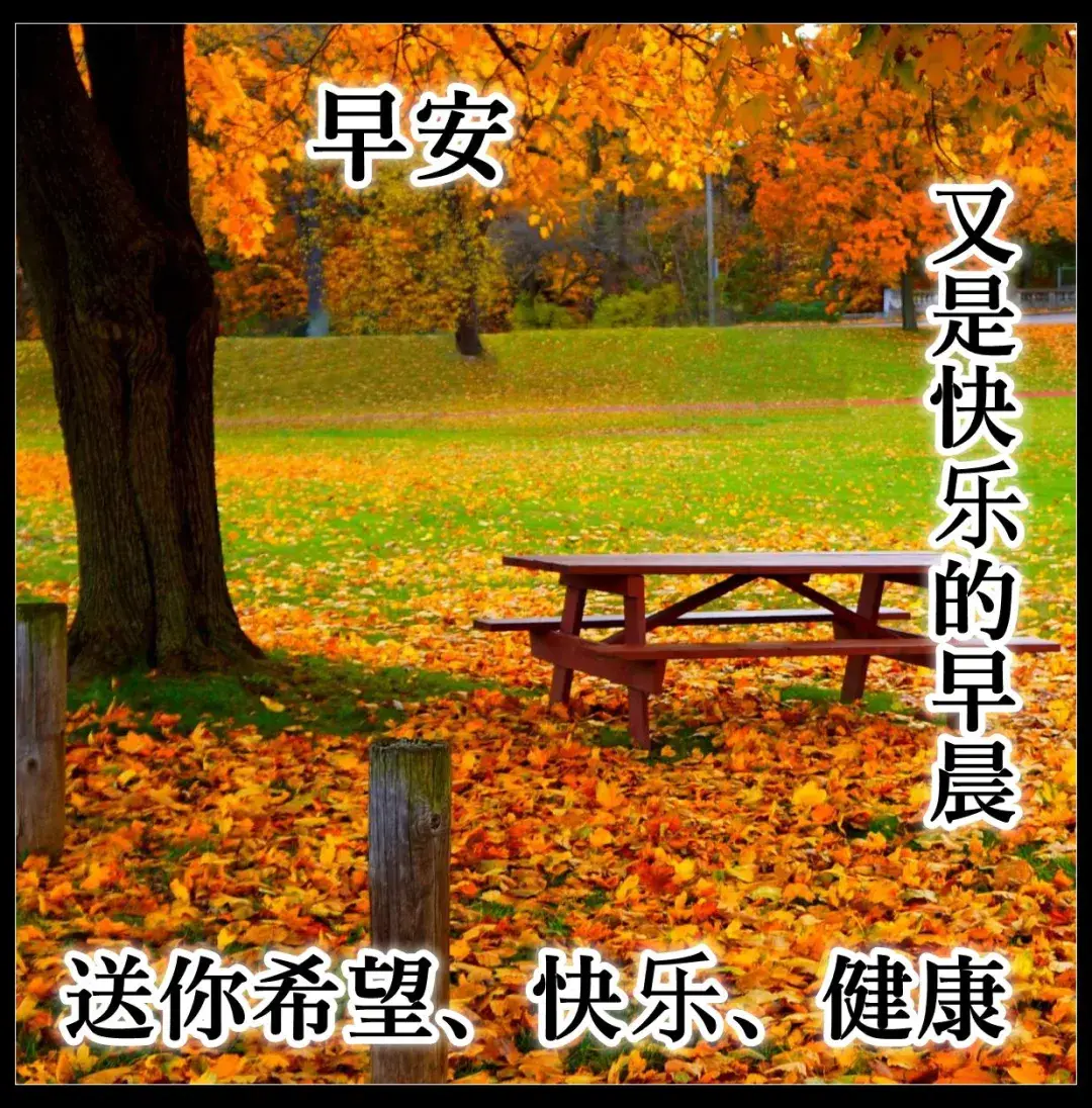 游戏问候语_问候手机游戏大全_问候游戏