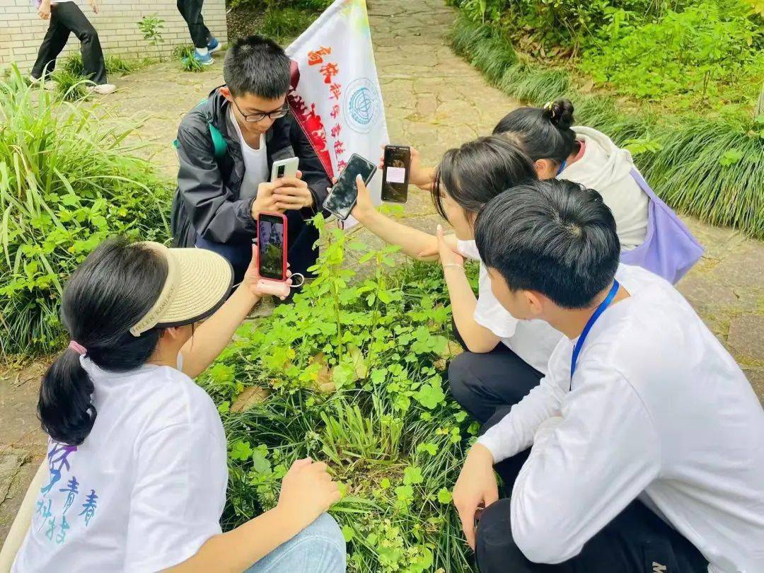 细菌古菌_细菌古菌的区别_古细菌