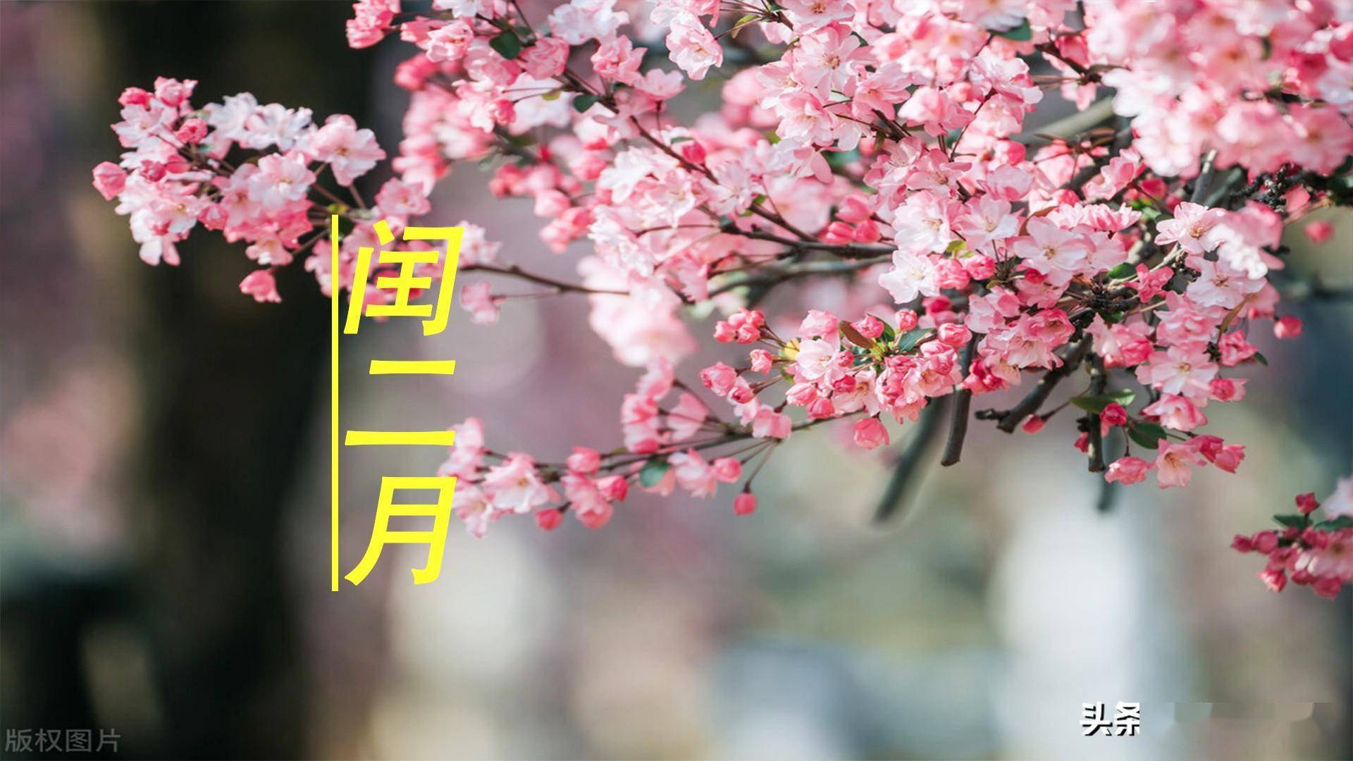 农历月份的别称_农历月忌日子是哪几天_农历七月