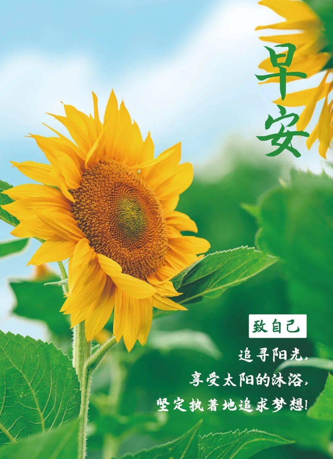 板垣李光人_板垣あずさ_板垣师团
