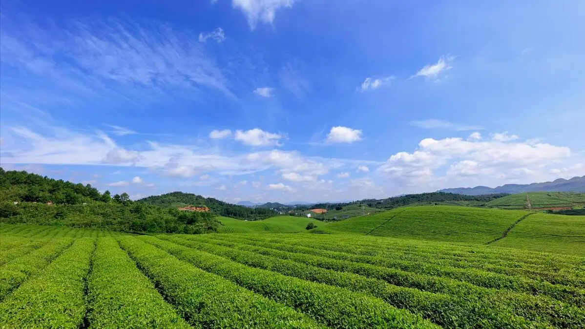 虹村形兆_虹村形兆_虹村形兆