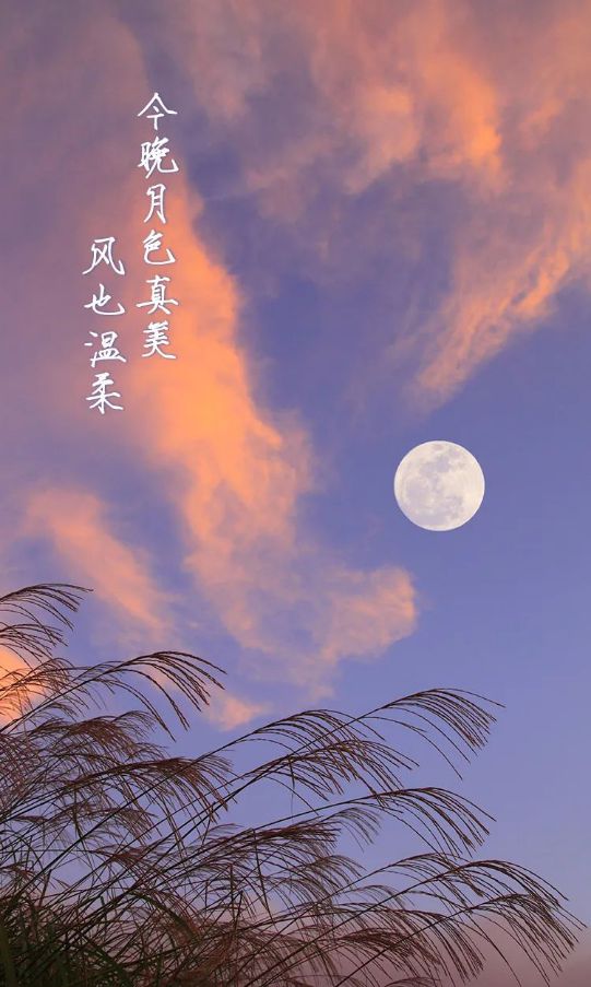 六道无鱼_六道无鱼有哪些作品_六道无鱼百科