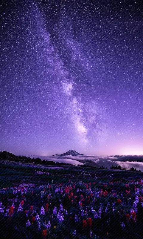 星座手机游戏_小游戏星座_星座手机游戏推荐