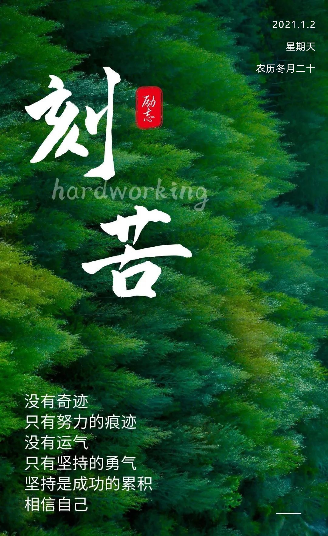 安祖赛弗是什么职业_安祖赛弗的样本_安祖赛弗