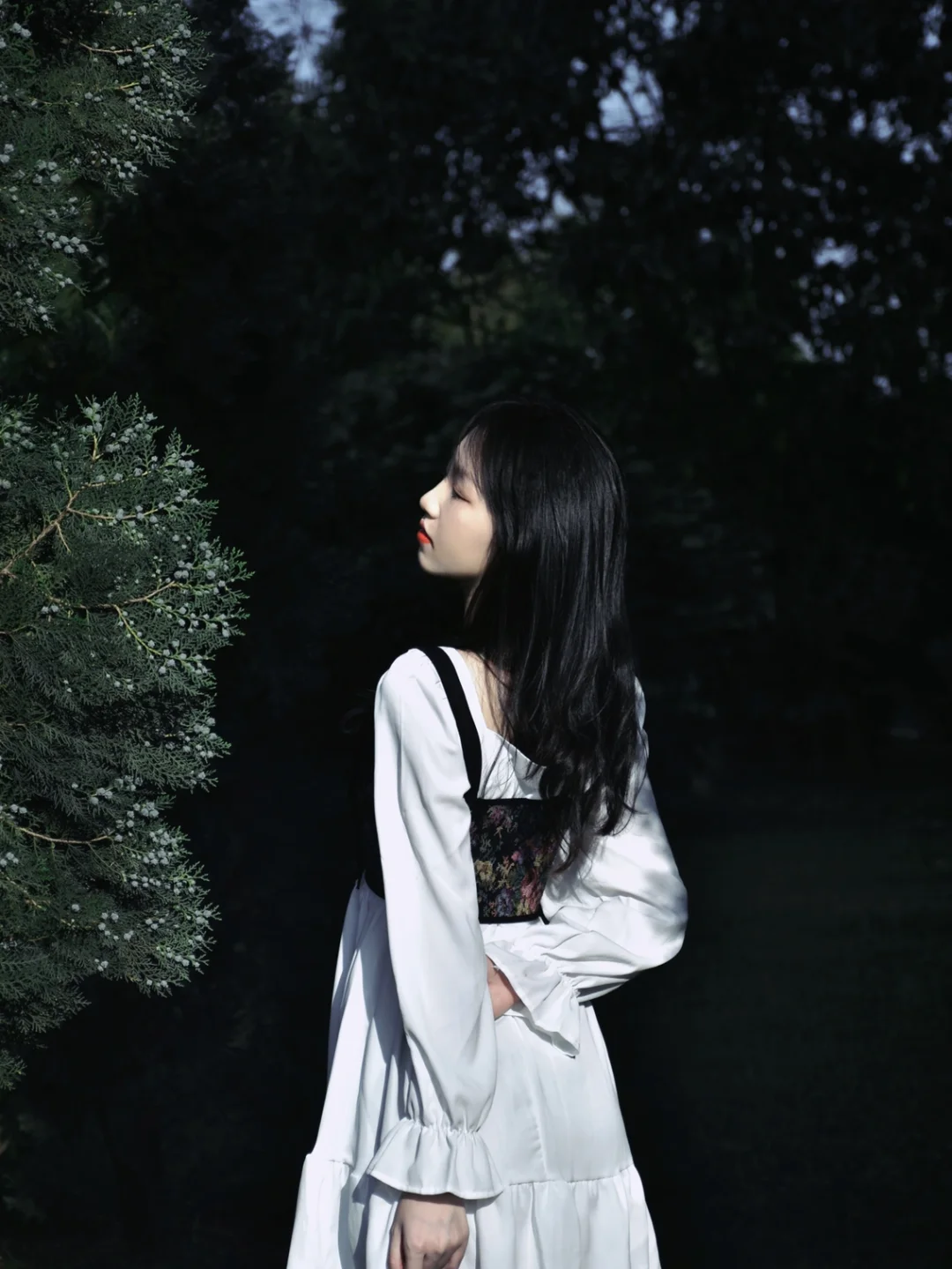 意境唯美手机游戏_唯美意境手机游戏图片_唯美的手机游戏