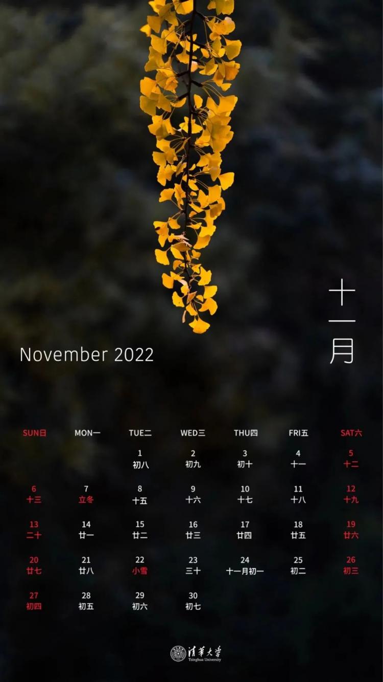 日历阴历和阳历有什么区别_阴历日历_日历阴历表